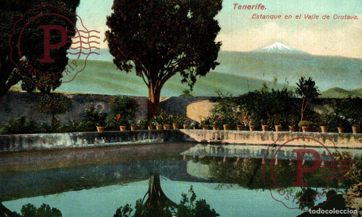 Postales: TENERIFE. ESTANQUE EN EL VALLE DE OROTAVA