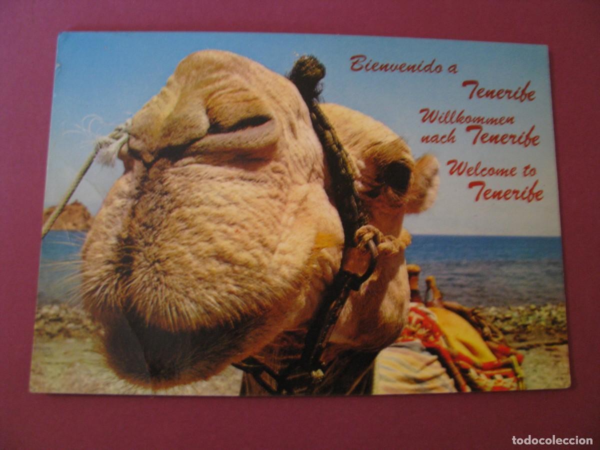 Postales: POSTAL DE TENERIFE. ED. GASTEIZ. CIRCULADA
