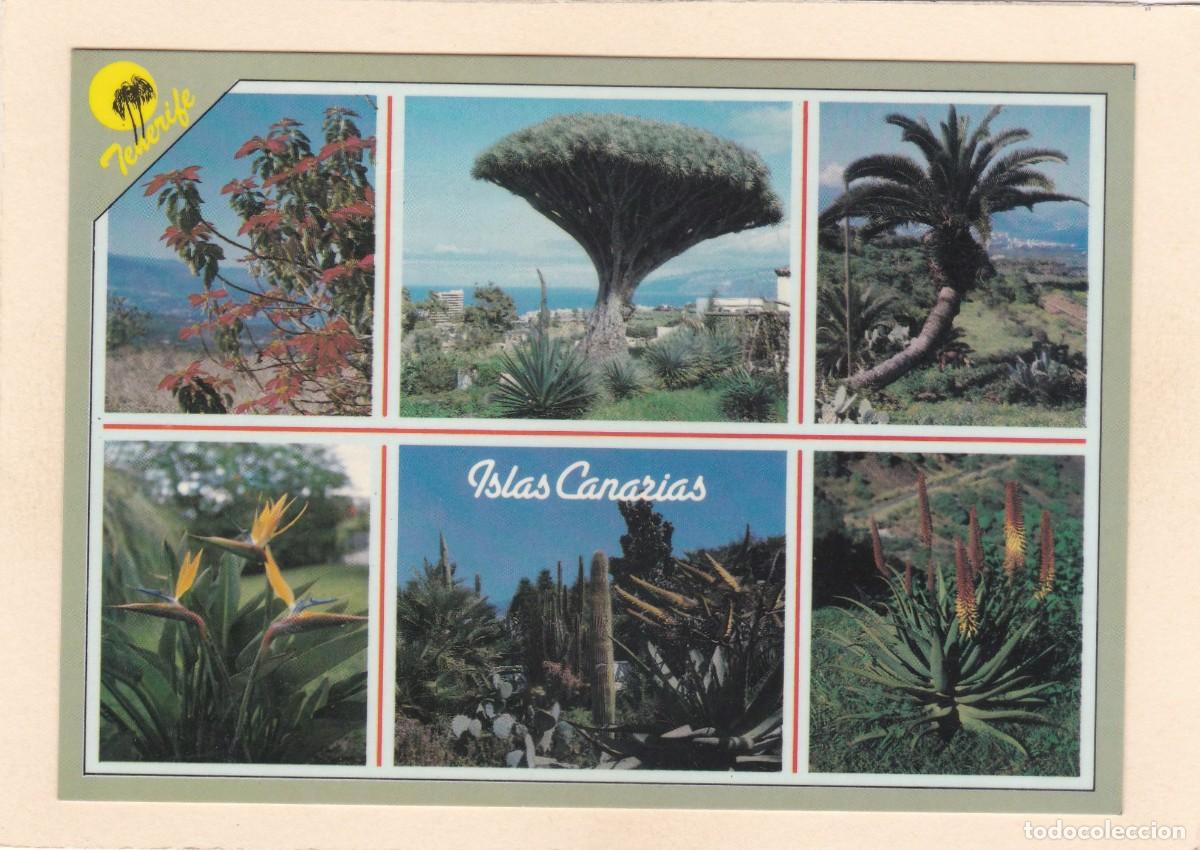 Postales: TENERIFE. DIVERSAS PLANTAS DE LA ISLA (1986)