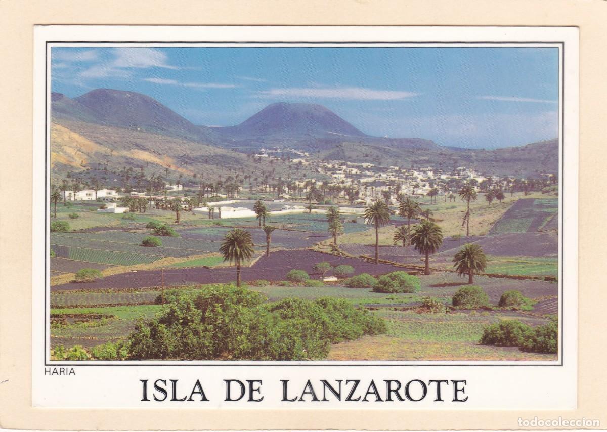 Postales: ISLA DE LANZAROTE. HAR&Iacute;A (1989)
