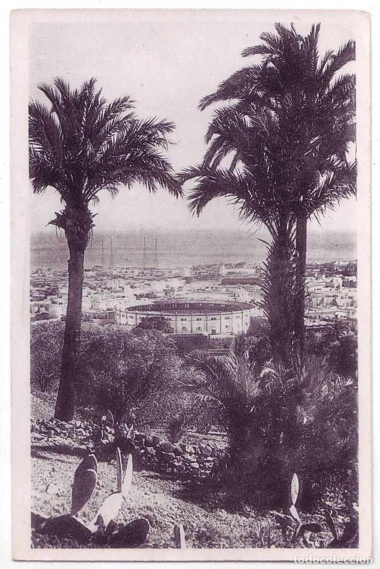 Postales: Santa Cruz de Tenerife: Alrededores. No consta editor. No circulada (A&ntilde;os 30)