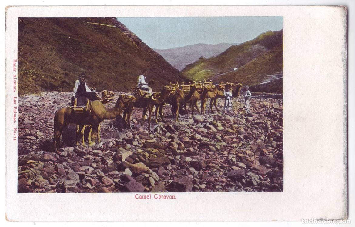 Postales: Tenerife: Camel Caravan. Bazar Alem&aacute;n. Sin dividir. No circulada (Anterior a 1905)