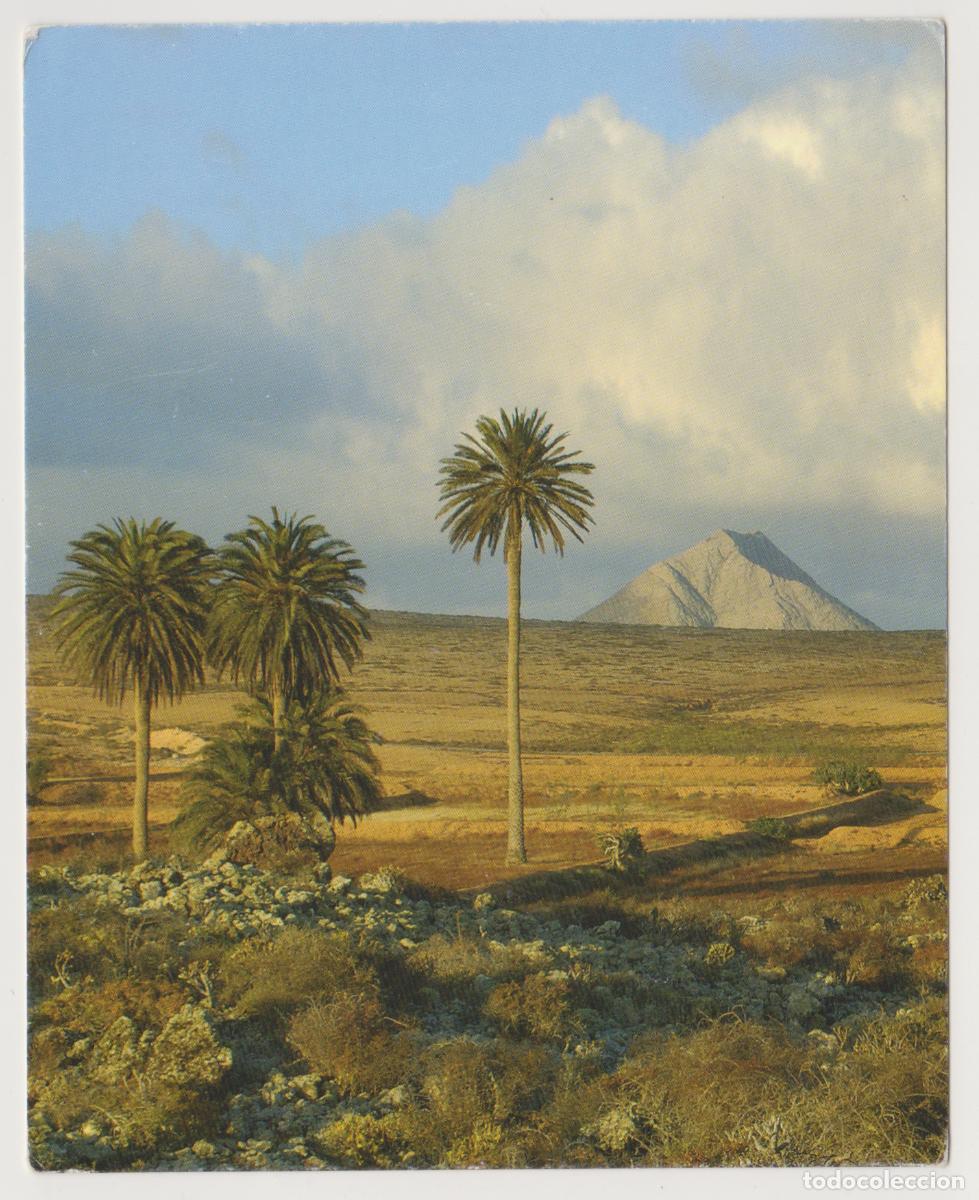 Postales: TARJETA POSTAL - CANARIAS - FUERTEVENTURA - LA ROSA DE LOS NEGRINES Y TINDAYA AL FONDO - FOTO: RAMOS