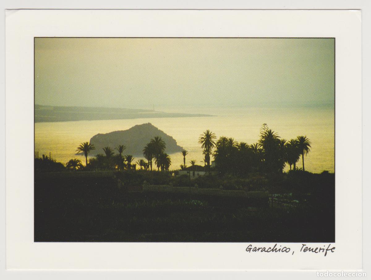 Postales: TARJETA POSTAL - TENERIFE - GARACHICO - CAT CARDS COMPANY