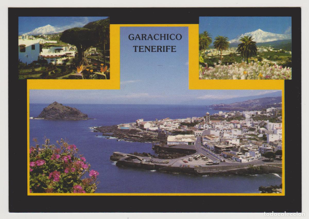 Postales: TARJETA POSTAL - ISLAS CANARIAS - GARACHICO - DRAGO MILENARIO - ICOD DE LOS VINOS - 153 - JR ANIBARR