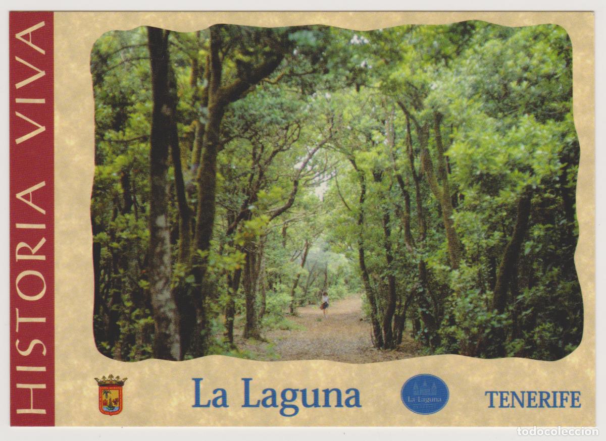 Postales: TARJETA POSTAL - TENERIFE - LA LAGUNA - MONTE DE LAS MERCEDES - SENDEROS DE ANAGA - AYUNT. LA LAGUNA