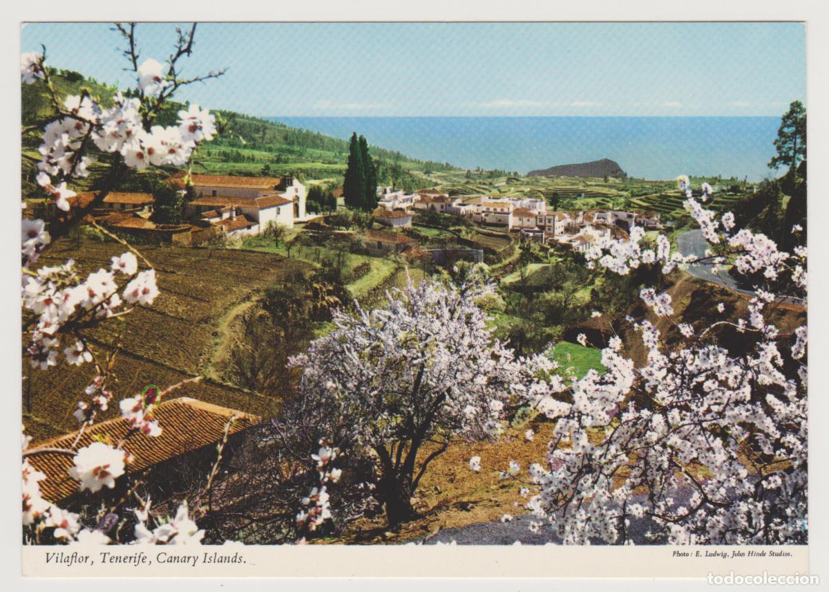 Postales: TARJETA POSTAL - CANARY ISLANDS - TENERIFE - VILAFLOR - DISTRIBUTED BY PADANE