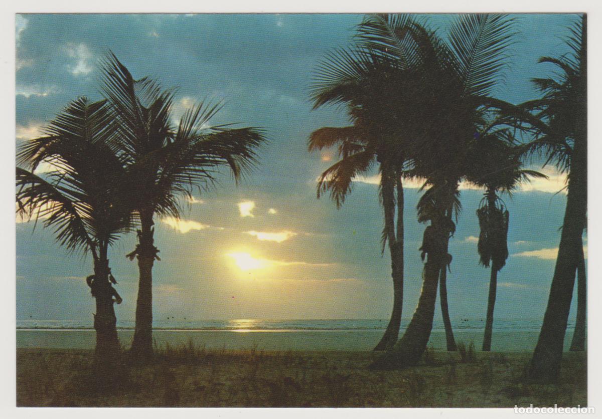 Postales: TARJETA POSTAL - TENERIFE - ATARDECER - EDICIONES GASTEIZ
