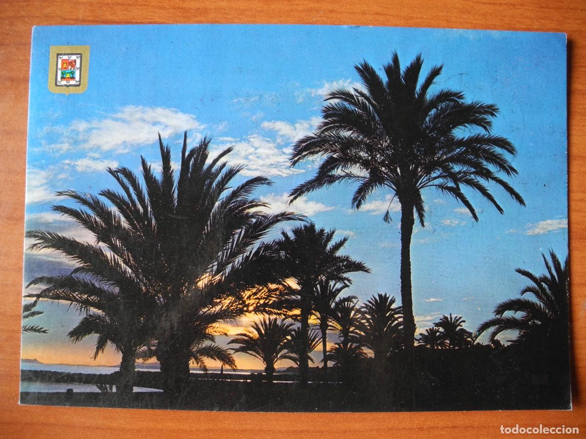 Postales: Las Palmas de Gran Canaria. Atardecer. n. 523. Circulada 1982.
