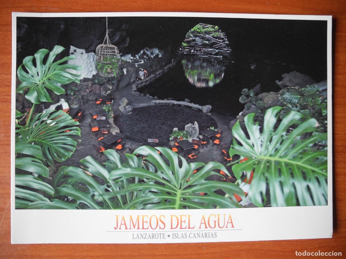 Postales: Jameos del agua. Lanzarote. Circulada 2006