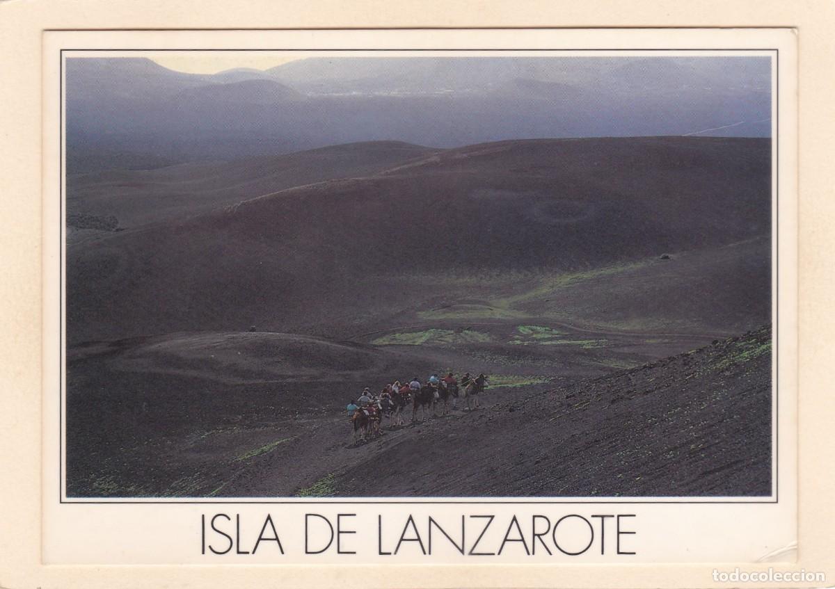 Postales: ISLA DE LANZAROTE. TIMANFAYA. CAMELLOS (1985)