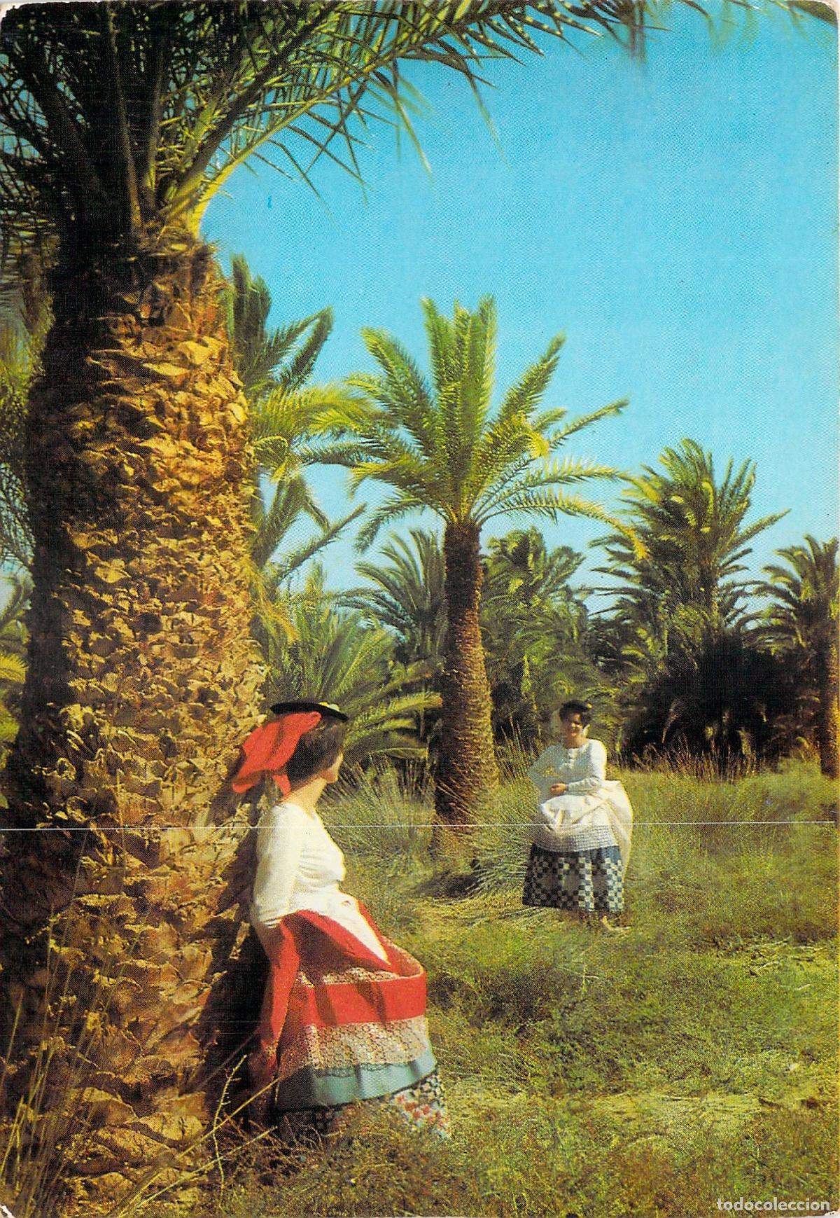 Postales: Postal de Maspalomas, Gran Canaria, paisaje con palmeras