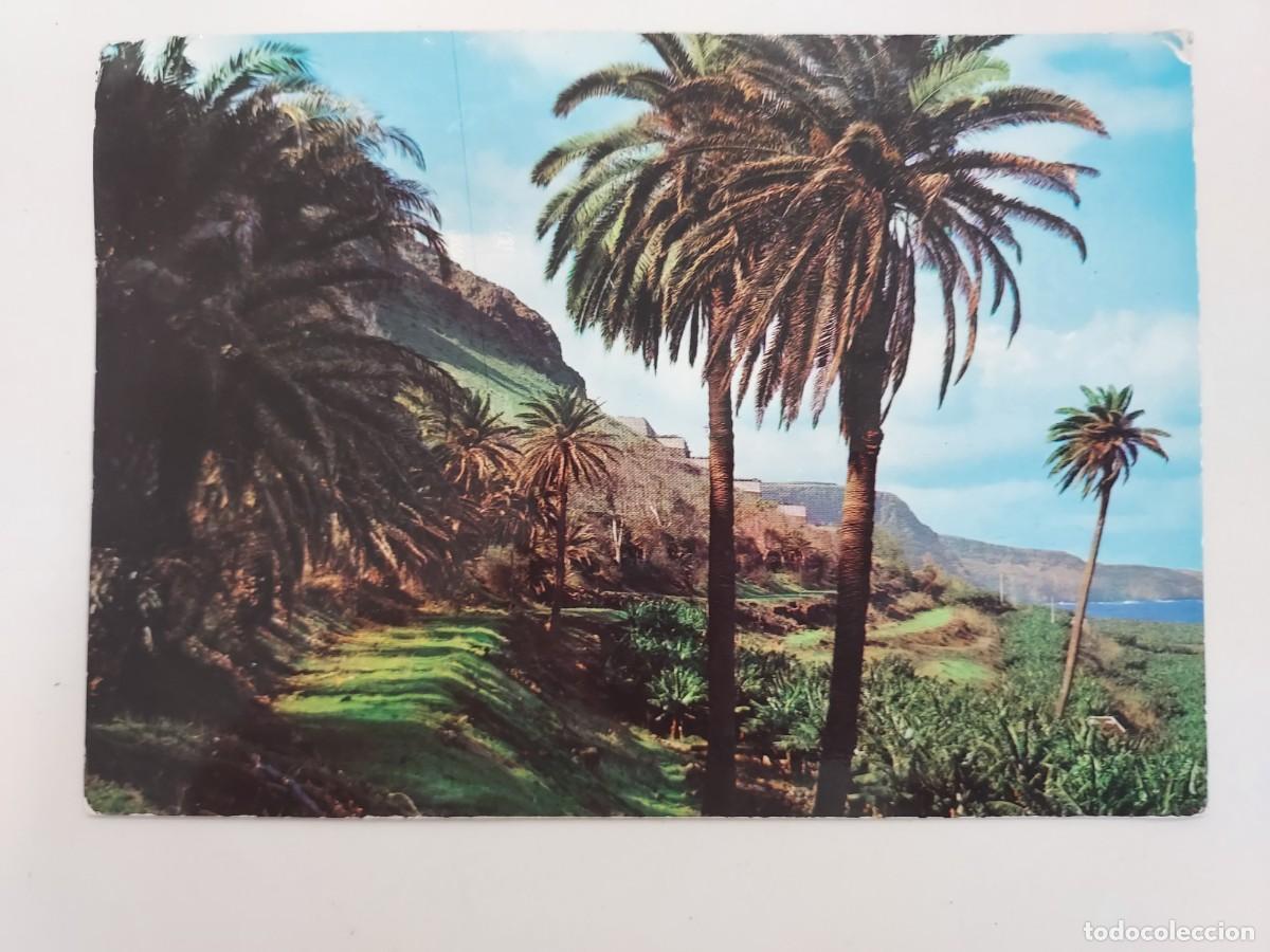 Postales: POSTAL GRAN CANARIA RINCON CANARIO. 1971. SIN CIRCULAR. RABADAN. LAS PALMAS