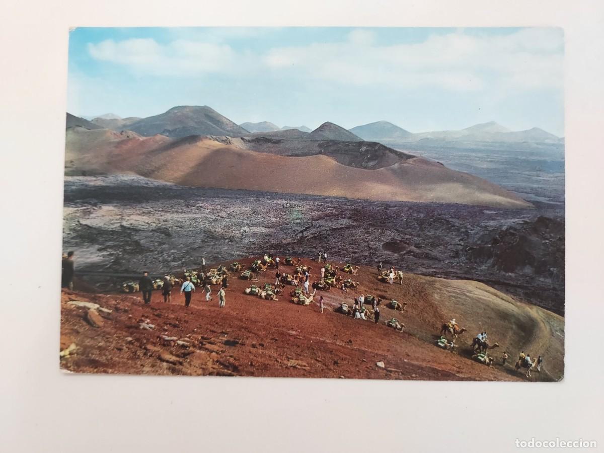 Postales: POSTAL LANZAROTE MONTA&Ntilde;A DEL FUEGO CARAVANA DE CAMELLOS. 1971. SIN CIRCULAR. SILVA