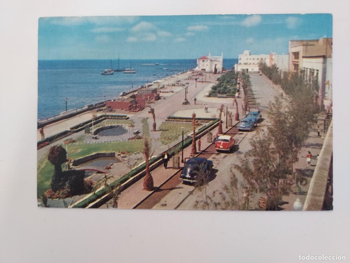 Postales: POSTAL LANZAROTE ARRECIFE PARQUE MUNICIPAL. 1960. SIN CIRCULAR. ARRIBAS