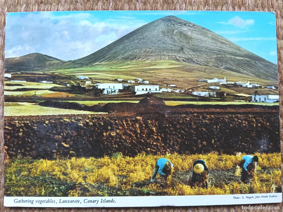 Postales: LANZAROTE - ED. JOHN HINDE
