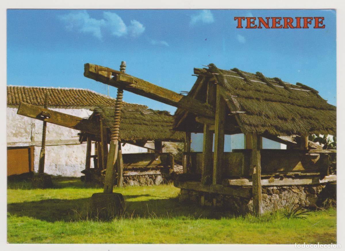 Postales: TARJETA POSTAL - ISLAS CANARIAS - TENERIFE -SANTIAGO DEL TEIDE - 3050 - COLECCION PERLA