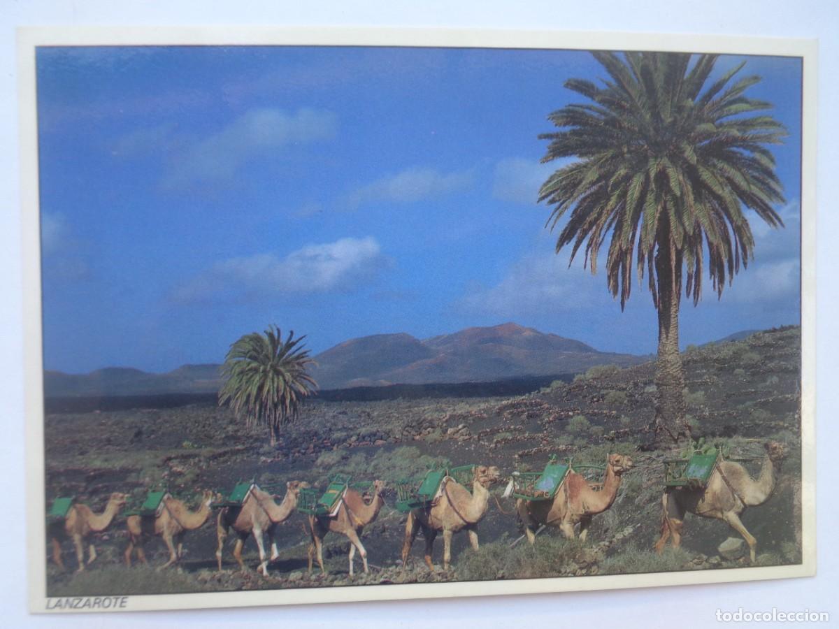 Postales: POSTAL DE LANZAROTE ( ISLAS CANARIAS ): MONTA&Ntilde;AS DEL FUEGO