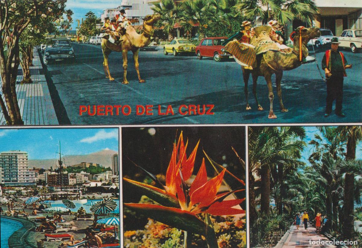 Postales: CANARIAS, TENERIFE, PUERTO DE LA CRUZ - GLOBAL TRADERS 73 &ndash; S/C
