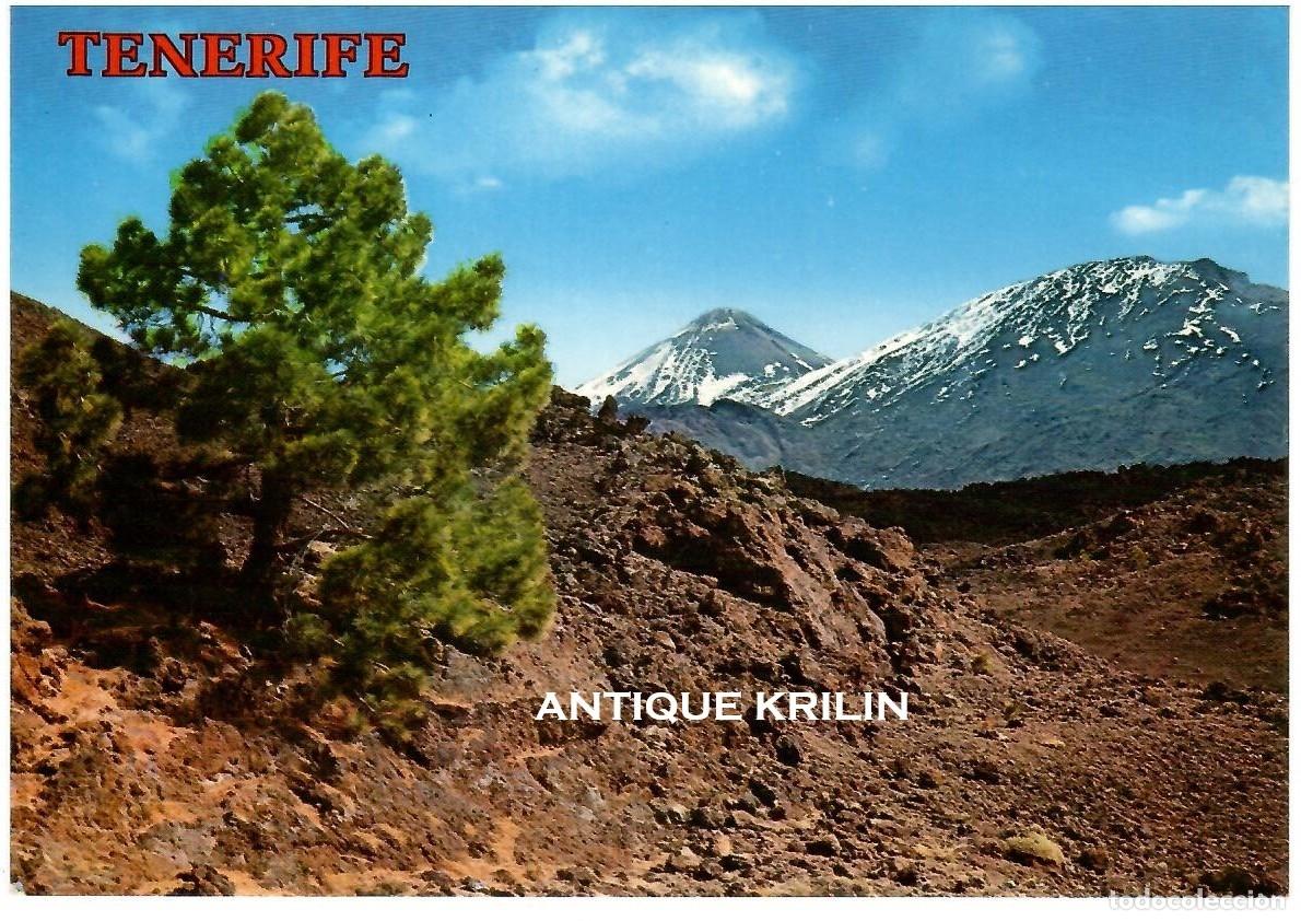 Postales: TENERIFE N&ordm; 4127 EL TEIDE / COLECCION PERLA / SIN FRANQUEAR