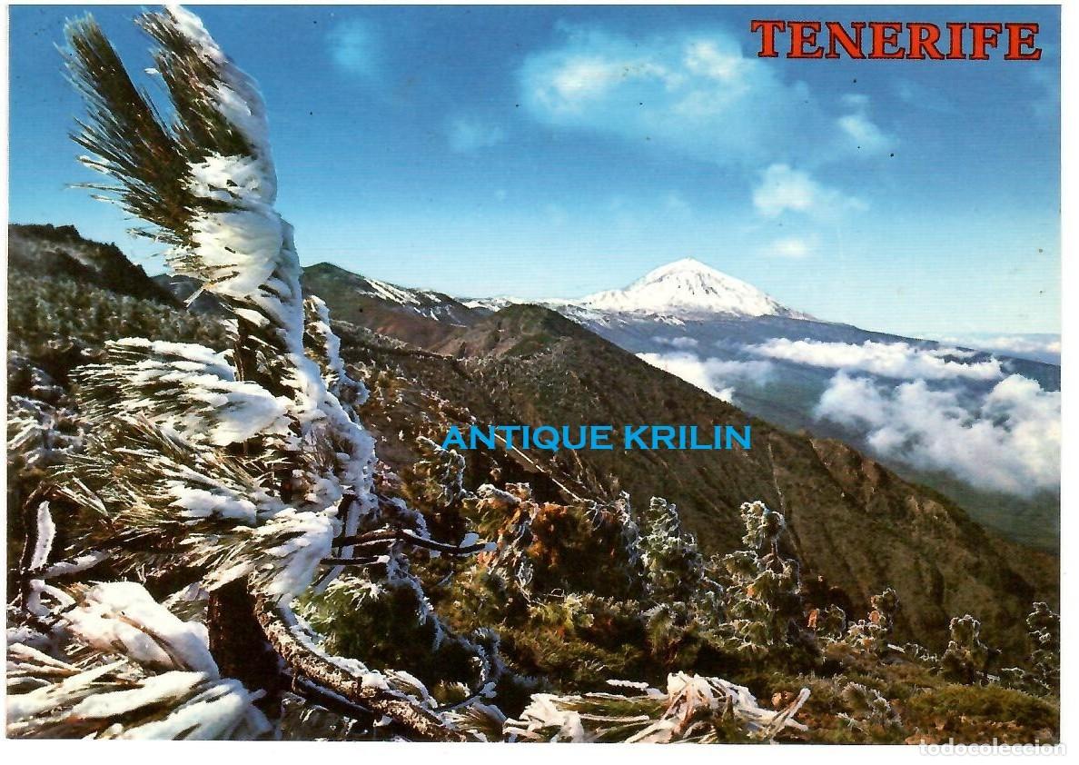 Postales: TENERIFE N&ordm; 4112 EL TEIDE / COLECCION PERLA / SIN FRANQUEAR