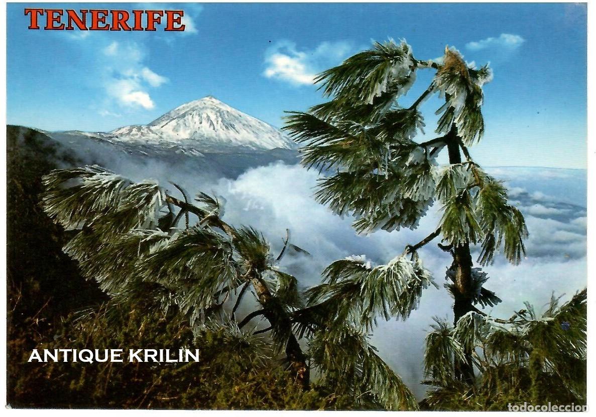Postales: TENERIFE N&ordm; 4118 EL TEIDE / COLECCION PERLA / SIN FRANQUEAR