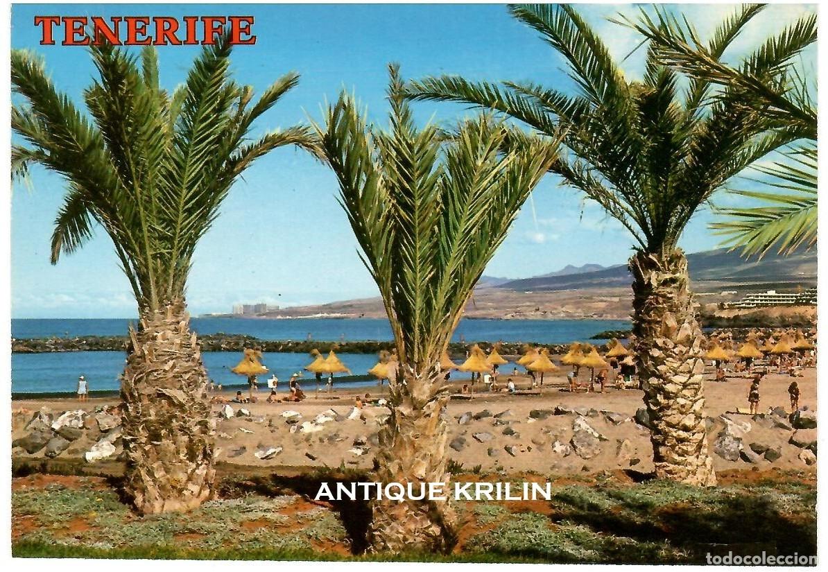 Postales: TENERIFE N&ordm; 4154 PLAYA DE LAS AMERICAS / COLECCION PERLA / SIN FRANQUEAR
