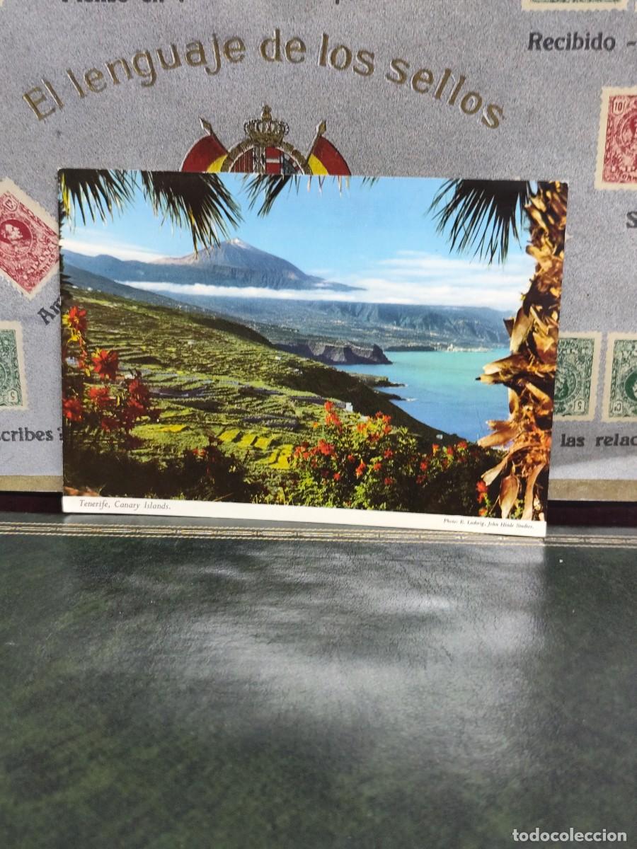 Postales: P6161 Postal Tenerife 2CT12 . John Hinde Original