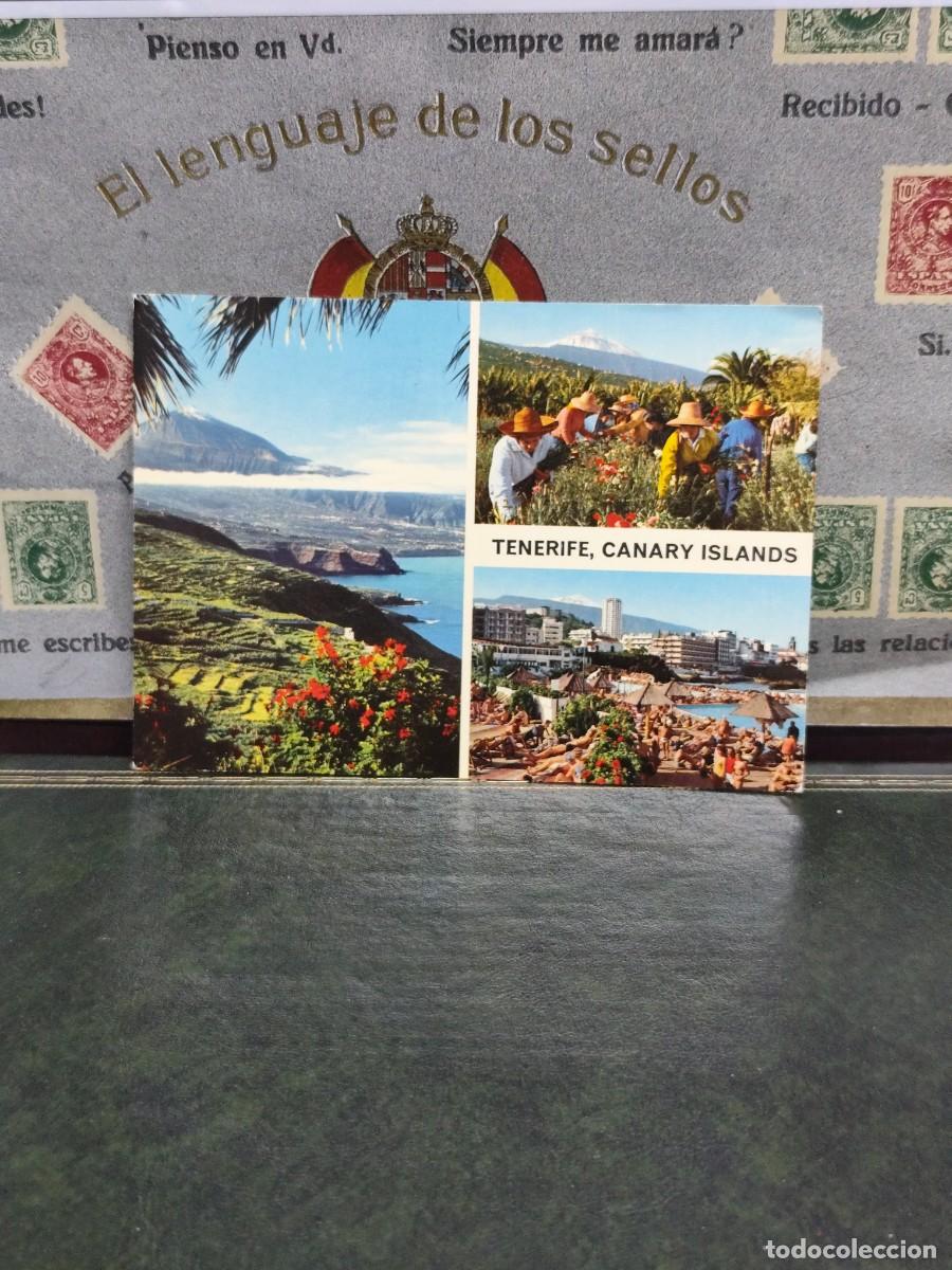 Postales: P6163 Postal Tenerife 2CT 182 . John Hinde Original