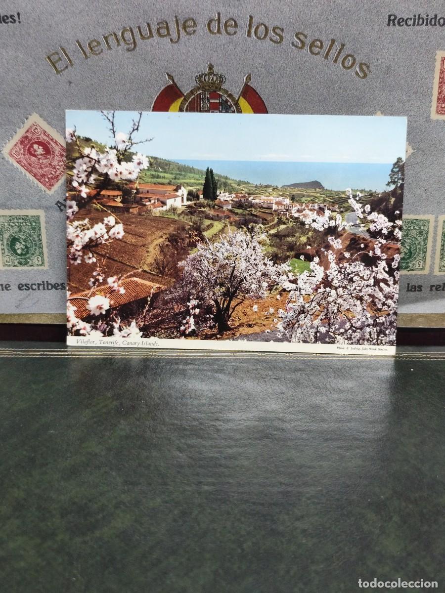 Postales: P6164 Postal Tenerife 2CT 200 Vilaflor . John Hinde Original