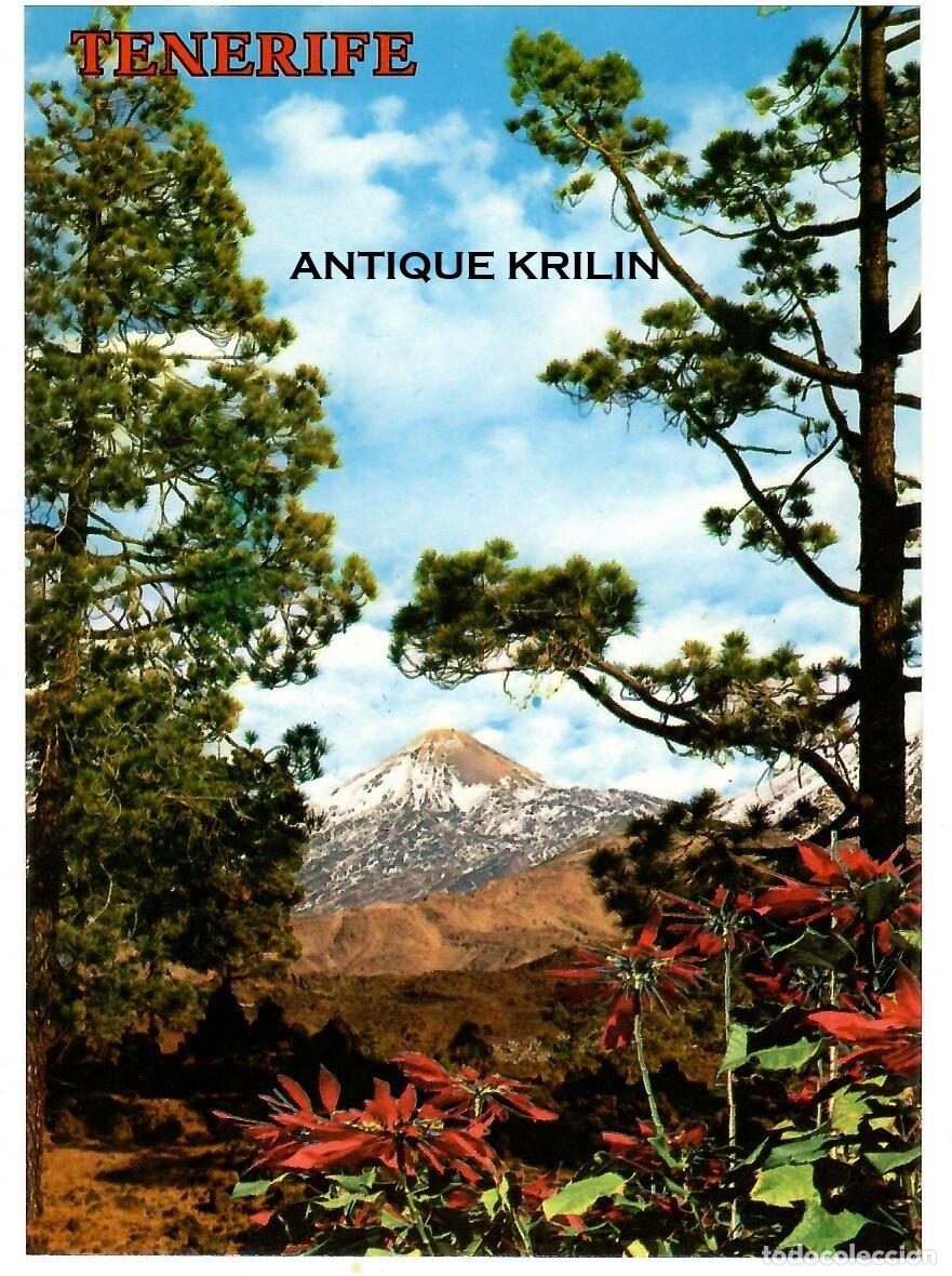 Postales: TENERIFE N&ordm; 4126 EL TEIDE / COLECCION PERLA / SIN FRANQUEAR