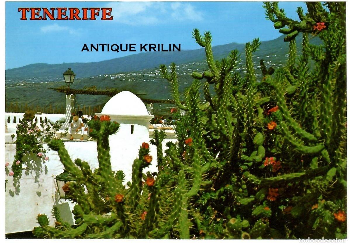Postales: TENERIFE / PUERTO DE LA CRUZ N&ordm; 6326 PASEO MARTIANEZ / COLECCION PERLA / SIN FRANQUEAR