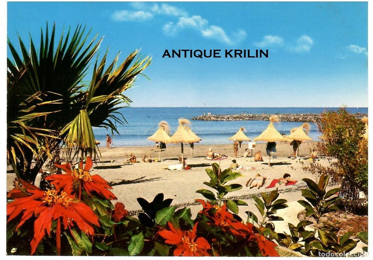 Postales: TENERIFE N&ordm; 4163 PLAYA DE LAS AMERICAS / COLECCION PERLA / SIN FRANQUEAR