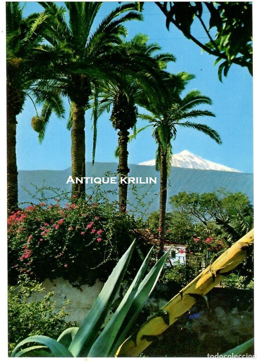 Postales: TENERIFE / EL TEIDE N&ordm; 236 EL VOLCAN DESDE PUERTO DE LA CRUZ / EDICIONES ANIBARRO / SIN FRANQUEAR