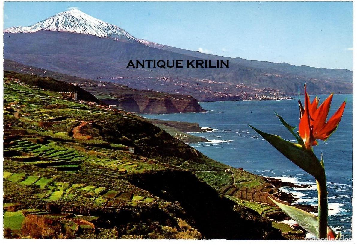 Postales: TENERIFE N&ordm; 61 ZONA NORTE CON EL TEIDE / EDICIONES ANIBARRO / SIN FRANQUEAR