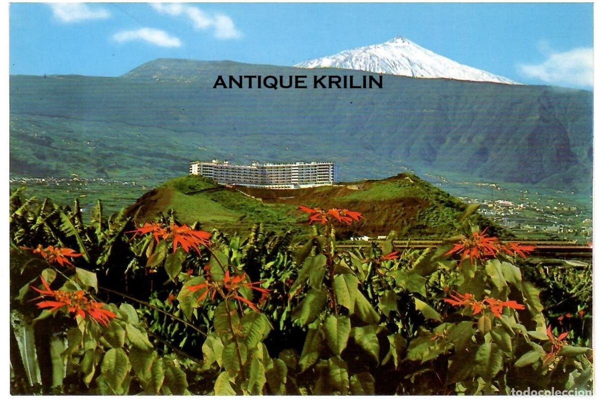 Postales: TENERIFE / PUERTO DE LA CRUZ N&ordm; 50 ZANA SAN TELMO / EDICIONES ANIBARRO / SIN FRANQUEAR