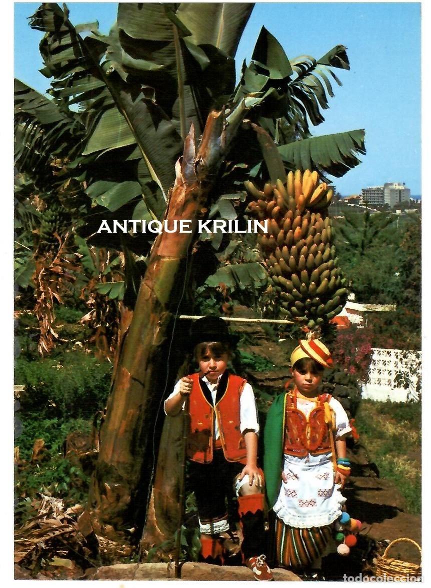 Postales: TENERIFE / PUERTO DE LA CRUZ N&ordm; 118 TRAJES TIPICOS / EDICIONES ANIBARRO / SIN FRANQUEAR