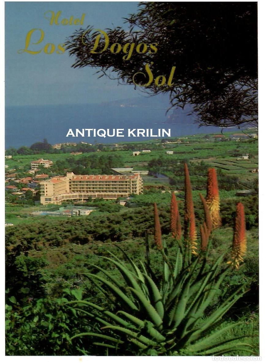 Postales: TENERIFE N&ordm; 61 HOTEL LOS DOGOS / EDICIONES TFE / SIN FRANQUEAR