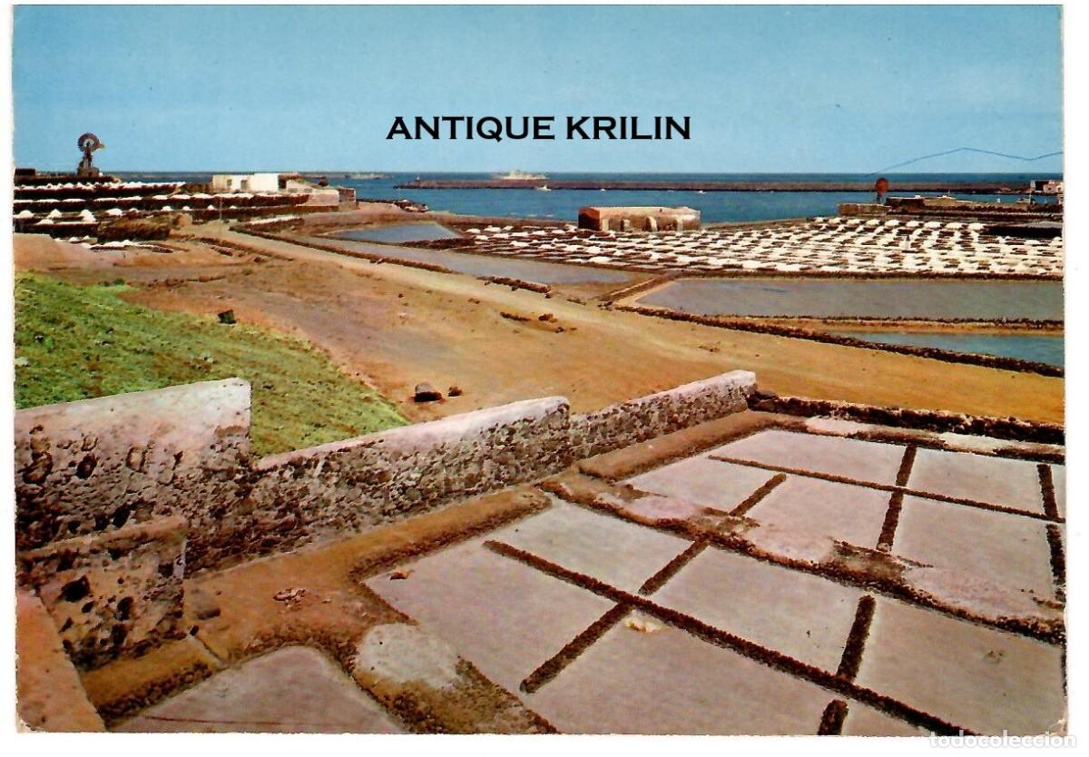 Postales: LANZAROTE N&ordm; 5132 LAS SALINAS / EDICIONES GASTEIZ / SIN FRANQUEAR
