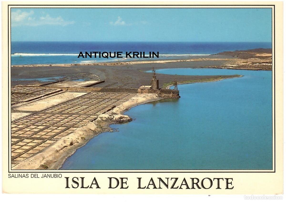 Postales: LANZAROTE / SALINAS DEL JANUBIO / EDICION MURILLO N&ordm; L40 / SIN FRANQUEAR