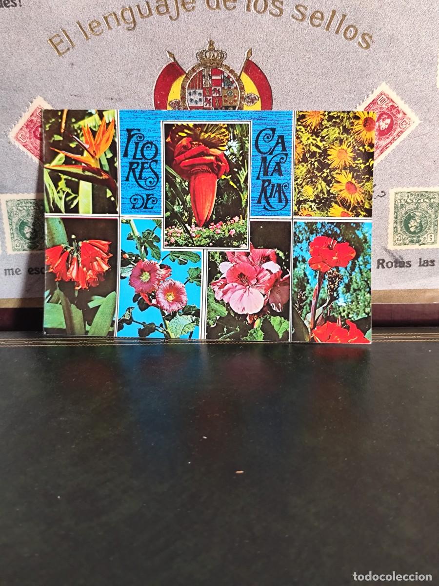 Postales: P6190 Postal Flores de Canarias 2499 . Edc. Gasteiz