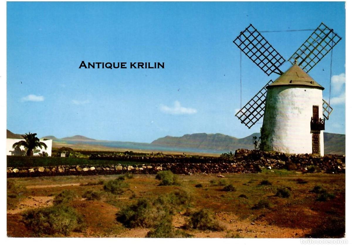 Postales: LANZAROTE N&ordm; 5136 MOLINO TIPICO , PUNTA FARIONES / EDICIONES GASTEIZ / SIN FRANQUEAR