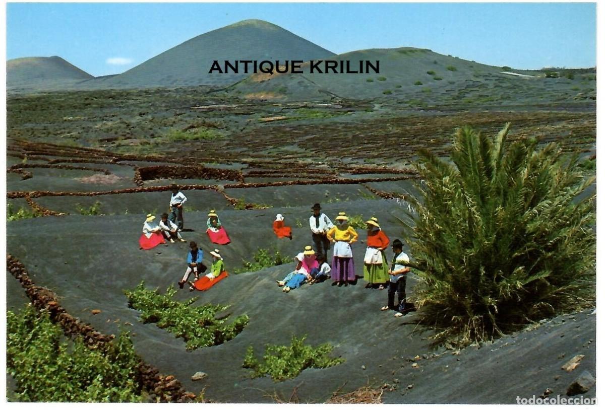 Postales: LANZAROTE / ESCENA TIPICA / COLECCION AFORTUNADAS N&ordm; 20086 / SIN FRANQUEAR