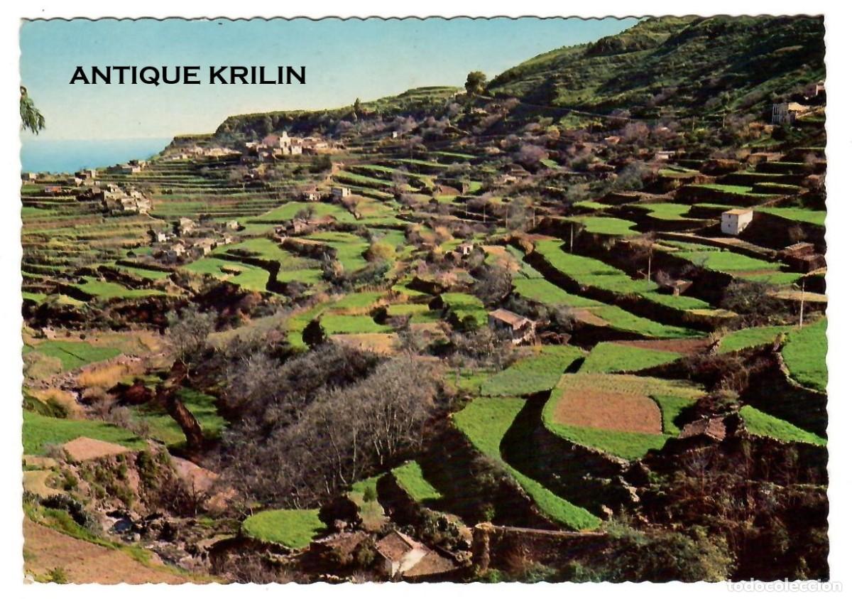 Postales: GRAN CANARIA N&ordm; GC 1038 CULTIVOS / EDICION SUECA ULTRA / SIN FRANQUEAR