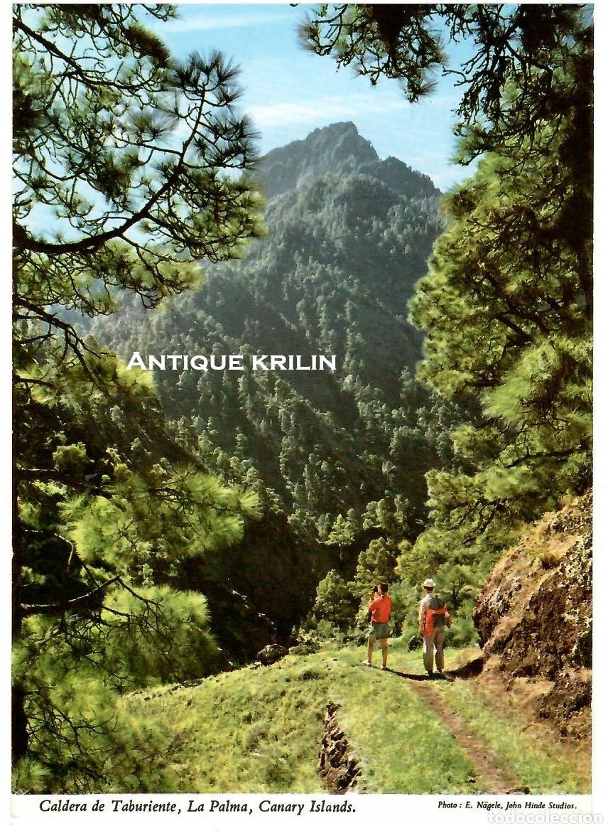 Postales: SAN MIGUEL DE LA PALMA / VISTA CALDERA TABURIENTE / EDI. JOHN HINDE N&ordm; 2CT 177 / SIN FRANQUEAR