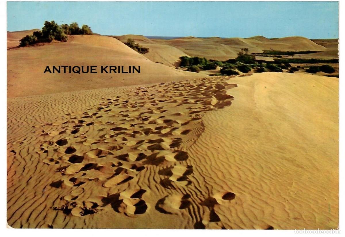 Postales: LAS PALMAS DE GRAN CANARIA N&ordm; 6060 DUNAS DE MASPALOMAS / EDICIONES ISLAS / SIN FRANQUEAR