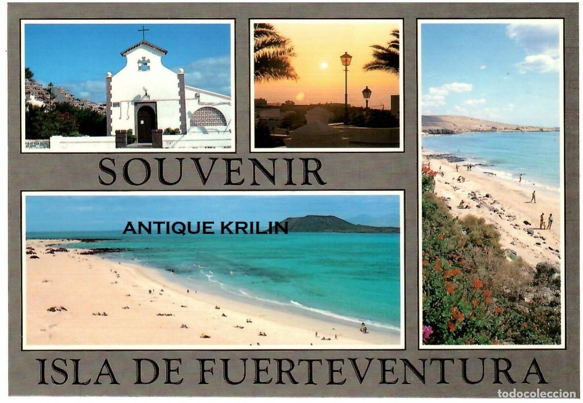 Postales: FUERTEVENTURA N&ordm; 043-F / SOUVENIR / EDICION BRITO MANZANO / SIN FRANQUEAR