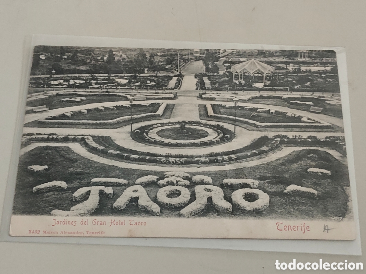 Postales: Tarjeta postal Tenerife Jardines de Grand Hotel Taoro Dorso sin dividir Editor Maison Alexandre 3432