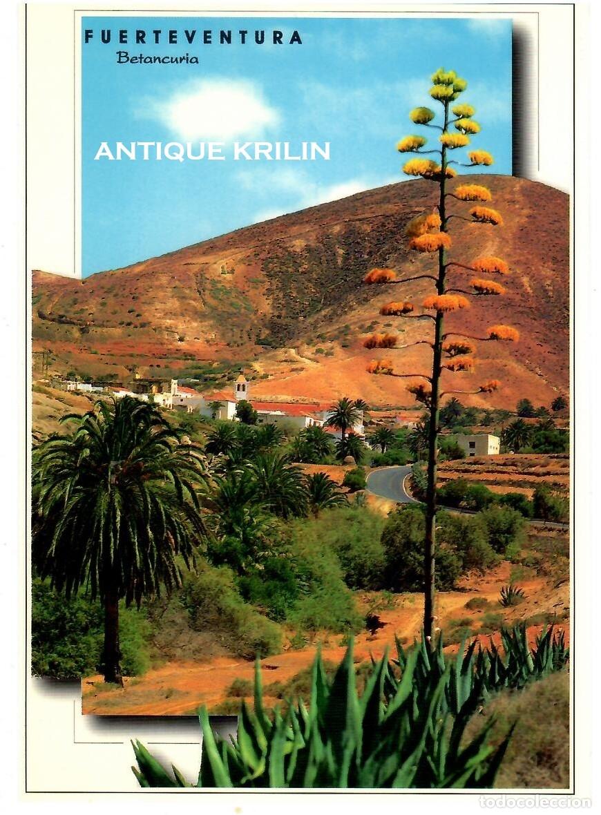 Postales: FUERTEVENTURA / BETANCURIA / EDICION SOFOTO / SIN FRANQUEAR