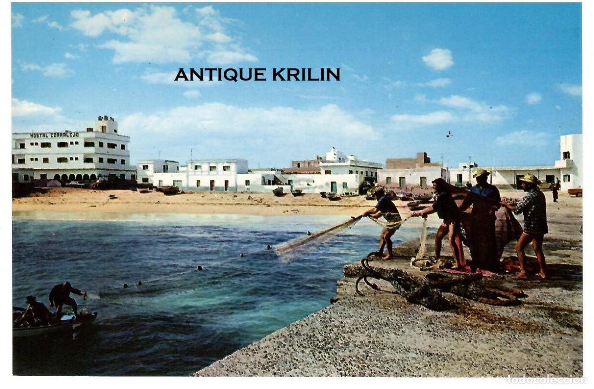 Postales: FUERTEVENTURA N&ordm; 6046 EL CORRALEJO / EDICIONES ISLAS / SIN FRANQUEAR